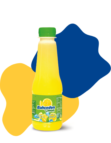 Bahçeden Limon 250ml